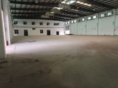 寮步镇单一层厂房出租1500平方，8米高，空地大，周边无居民