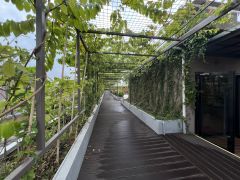 南联地铁口电商园小仓库380平方出租带空中花园精装修拎包入驻