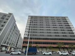 （公明楼村原房东厂房）1.56万平单层2600，分1300平