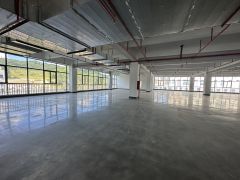 大亚湾全新玻幕墙高标准厂房，展厅，仓库，写字楼原房东低价出租