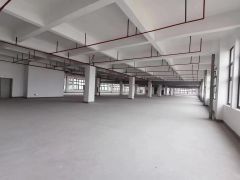 原房东红本厂房，塘厦大坪高速出口旁，全新厂房6300平可分租