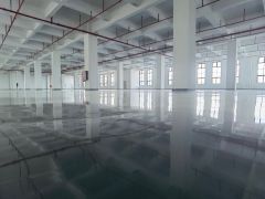 园洲镇重工业原房东花园式标准厂房出租