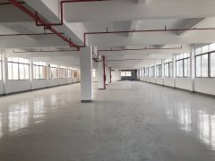 沿江高速旁虎门镇，南柵原房东独门独院厂房，带全新地坪漆