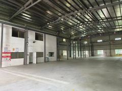 滴水9米  大岭山杨屋村工业园单一层1000平方厂房出租