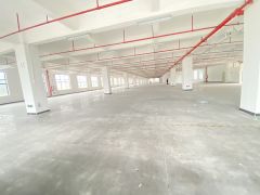 塘厦  原房东  特价6元  适合电子五金注塑家具纸箱等等