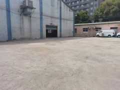 大岭山石大路边厂房出租 厂房600平，空地600平 超低价