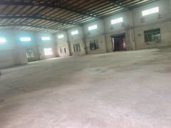 横沥镇本地房东独院厂房招租单一层钢构实际面积无公摊工业用地