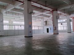 石排镇东部快速旁独院一楼1350平方高度7米带牛角位厂房出租