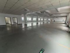 松岗罗田高速口独院二楼实面积1000平厂房出租送10部天花机
