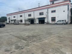 超 低 价-出租桥头工业区 厂房2500㎡+可用场地800㎡