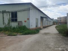 厂房出租河南岸冷水坑仓库出租1100方高6米可分租12元一方