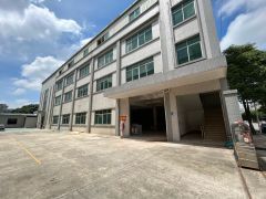 独院厂房出租，石排镇原房东12.5元每平方独院，带独立办公楼