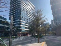 龙华油松地铁站旁开发商全新精装修办公厂房100平方起租