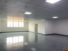 观澜福民小面积厂房200平320平420平520平仓库精装修