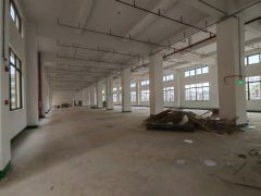龙溪全新厂房出租 有空地独立厂房 随时入驻 一手房东价格可谈