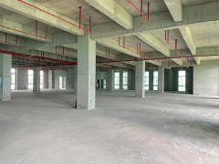 全新临深秋长红本厂房，开发商直租，无公摊