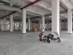 龙溪全新厂房边 国道边 采光好 空间利用大无公摊