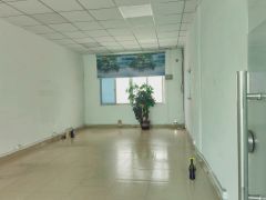 实际面积出租（公明玉律550平，现成装修，入住即可生产）