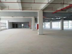 厂房出租惠州市惠阳区良井镇20000平标准厂房可租独栋可分层