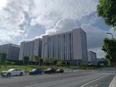 无公摊惠州惠环西坑陈江潼湖潼桥沥林周边厂房出租