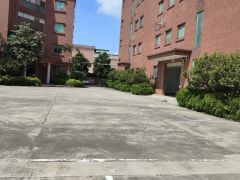 大岭山杨屋高速口原房东，新出花园式独院10元低价急租空地超大