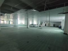 急租马安新乐一楼1200平，可分租500平，层高5米，电按需