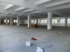 龙岗龙东义乌小商品城附近3楼1000平厂房仓库出租报价14元