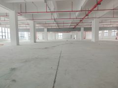 10块，楼上装修好的2800厂房，合适做电商仓库，进货车方便