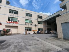 大岭山原房东一楼1500平可分带办公室装修，空地大，交通便利