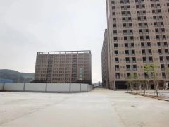 沙田镇原房东直租厂房约13万平方米，看厂房请联系阿福。