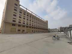 厚街独院 带卸货平台全新标准厂房 层高10米 空地大 原房东