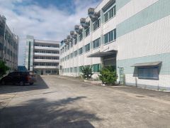 横沥镇三江工业区原房东小独院厂房出租