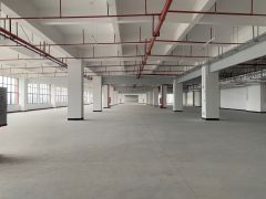 全新汽车坡道仓库出租 高端轿车汽车仓库 可上楼码头一公里内