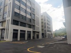 经典独门独院，近高速路口，水电全通好招工，半年免租