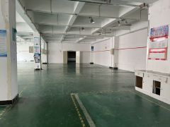 东坑龙坑原房东直租标准楼上800平方，面积实在价格优惠水电全
