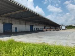 高标准钢构10万平方， 11米高带卸货平台，可做生产，可分租