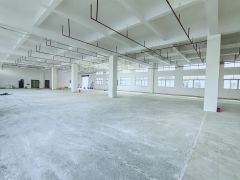 虎门沿江高速出口南部湾附近独院 适合注塑模具机械设备包材电子