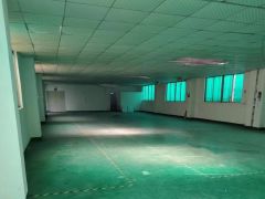 可省下装修费  大岭山出租厂房仓库780平  空地大靠近国道
