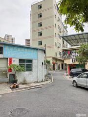 观澜新田原房东厂房850平300平220平70平优惠价招租