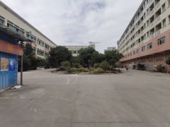 南城园区标准厂房分租 空地大 适合电子 仓库 展厅 维修等等
