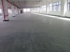 塘厦镇环市南路边全新红本工业园标准一楼和二楼以上厂房分层出租
