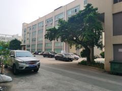 大岭山厂房出租 一楼一千平方米起租 独院厂房出租 原房东