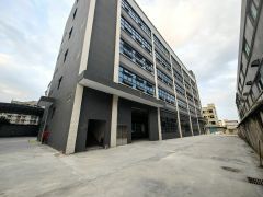 园洲镇中心独院标准厂房4600平米，宿舍900平米出租