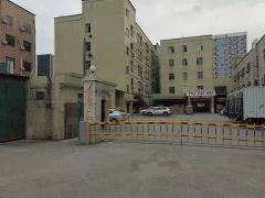低价出租龙溪街道原房东标准独院