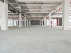 大亚湾西区龙山六路原房东新出500平县城地坪漆宿舍楼电商仓储