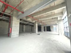 雁田京东智谷一手业主全新厂房可分租 可毛坯可装修合适价格可谈
