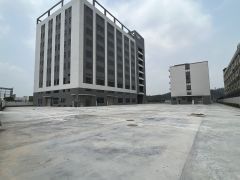 常平镇靠黄江新出原房东标准独院26800平方宿舍小搭配合理