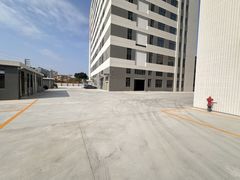 东坑全新工业厂房招租，500平起分
