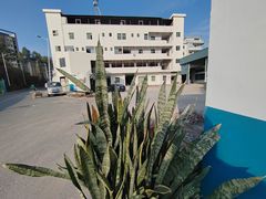 单一层钢架结构厂房独门独院，高度9米，中间无柱子，电630