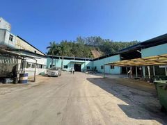 常平大京九塑胶城附近，原房东钢构小独院，厂房出租2000平方